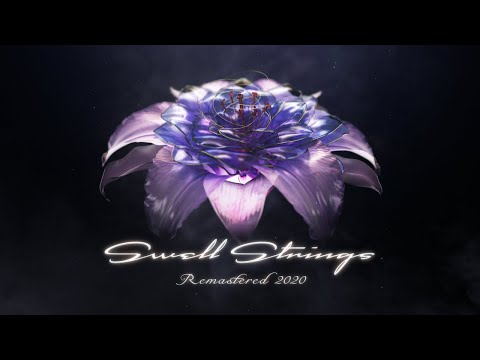 十六夜月【Swell Strings Remasted 2020 | onoken official】 - YouTube