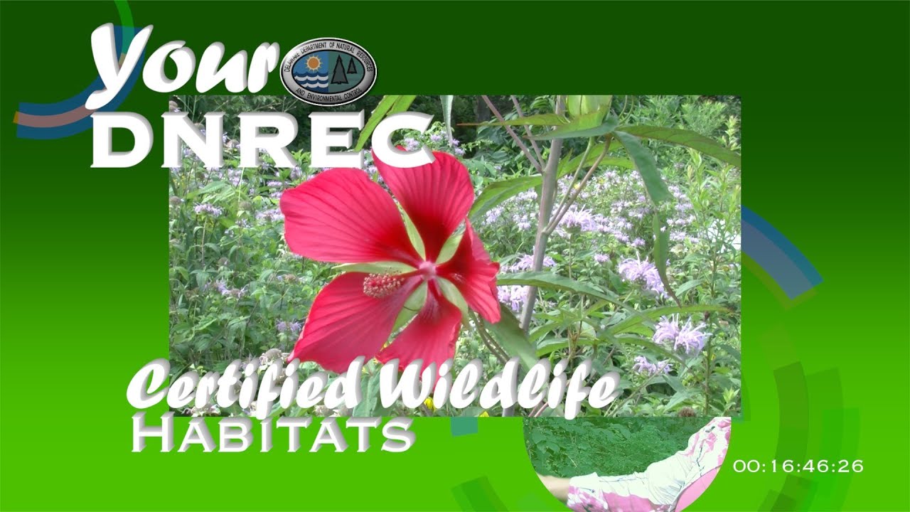 Certified Wildlife Habitats YouTube
