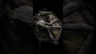 Dia 13 tomando fotos hasta poder comprarme una camara profesional #photography #fotografia #oneplus screenshot 4