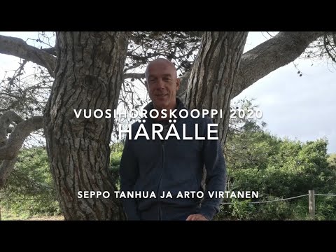 Video: Mikä On Härkä-naisen Horoskooppi Vuodelle