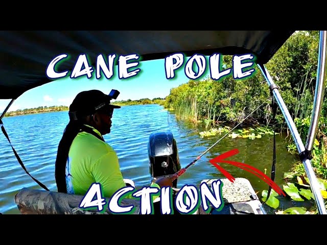 cane pole fishing maryland Bluegill Fishing The Old-fashioned Way Cane Pole & Live Bait‼️