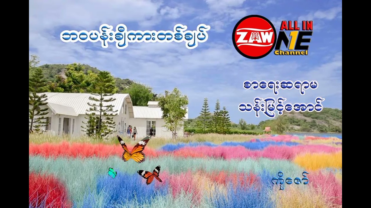 ဘဝပန်းချီကားတစ်ချပ် ၊ စာရေးဆရာမ သန်းမြင့်အောင်