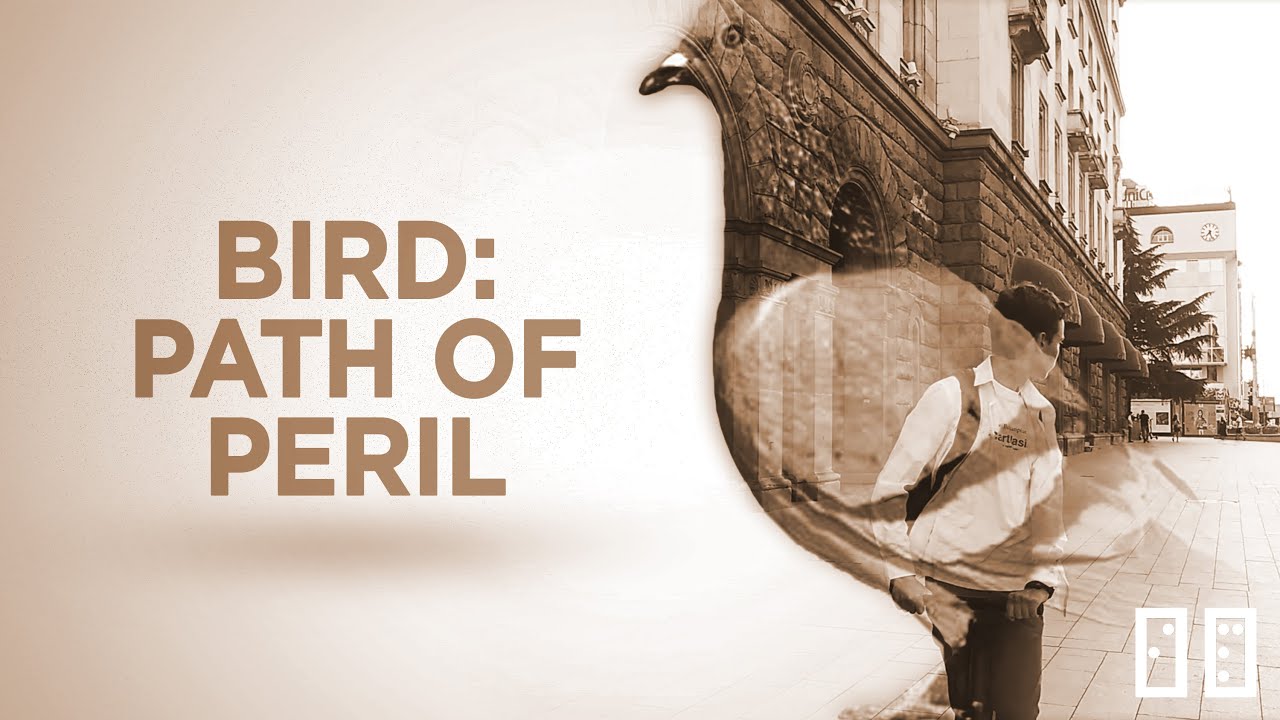 BIRD | Path of Peril