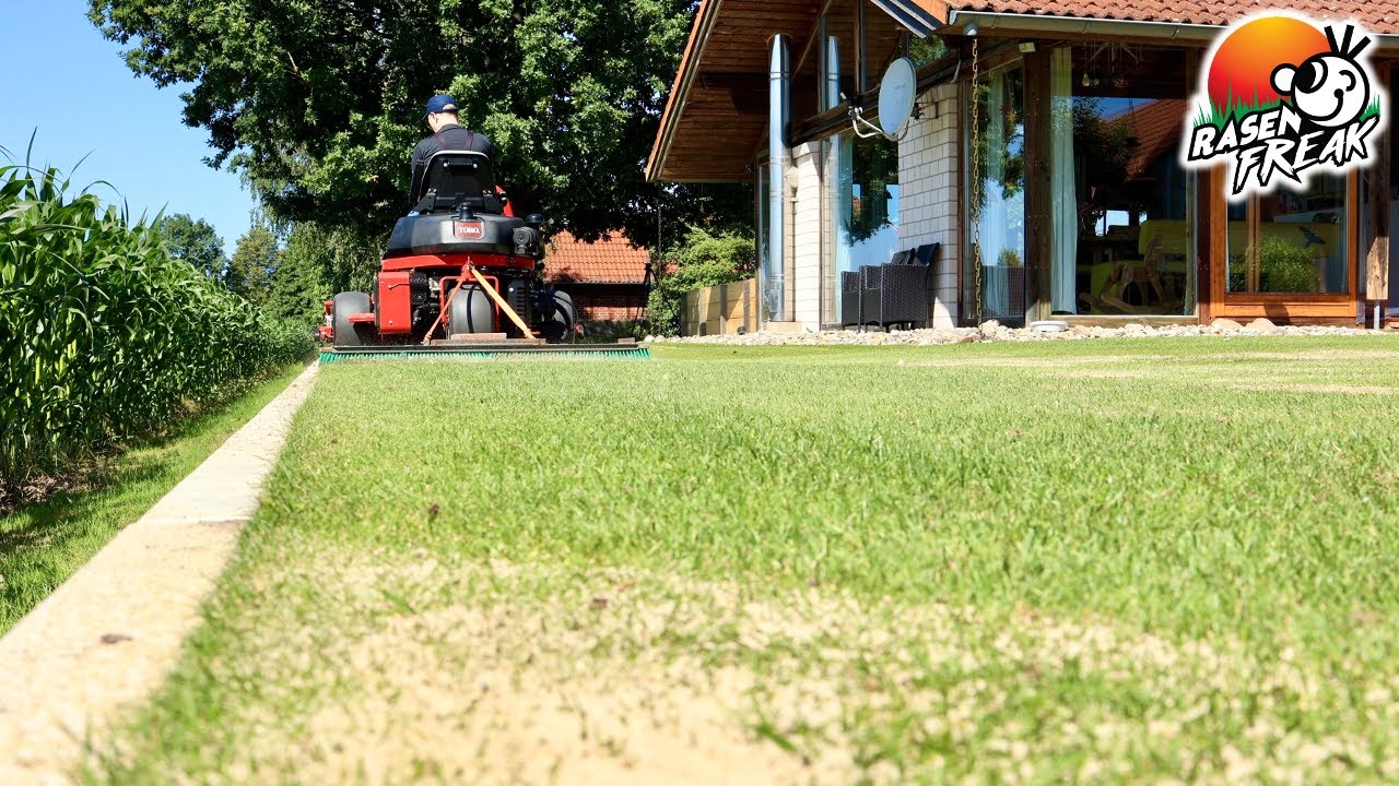Alge, Sand und BÜRSTENWAGEN nach dem Aerifizieren meiner Rasenfläche. Sand geht immer! Teil 2/2