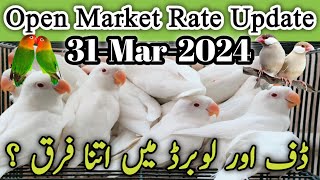 Open Market Rate Today l Lalukhet Birds Market 31 March 24 l V No 269 Sur Birds Channel