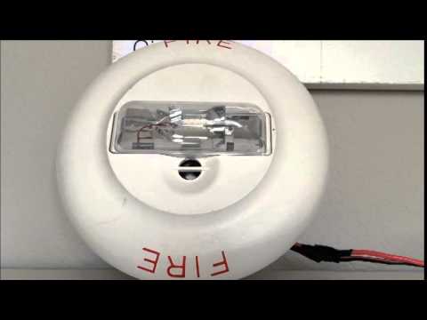 Wheelock NS-24-MCC Test - YouTube