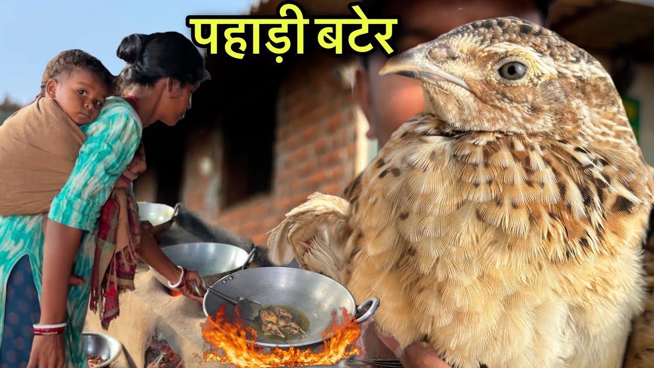 मेहनती माँ पहाड़ पर बनाकर खिला रही देशी बटेर | Rs250 में खाए 1 जोड़ा Quail Curry | Quail Recipe