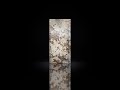 ROKA Pivot Doors - door with Patagonia stone #pivotdoors #-pivotdoor