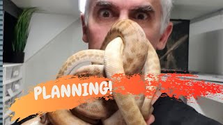 Celebrity WHAT AM I PLANNING!  - CrittaCam Profile