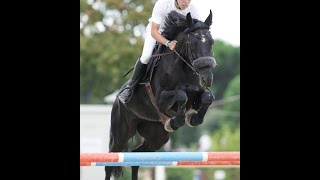 Alessio & Wilma Csij-A