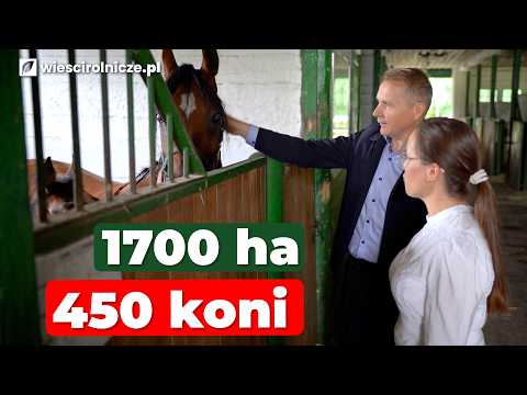 They sold a horse for 1.4 million euros. This farm and stud are the pride of Poland