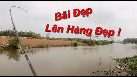 Câu Lure Cá Lóc Bãi Giữa Sông Hồng Hà Nội : Bãi Câu Mới Lên Hàng !