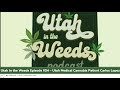 How to Use Cannabis to Replace Opioids Utah Medical Cannabis Patient | Utah in the Weeds Episode #54