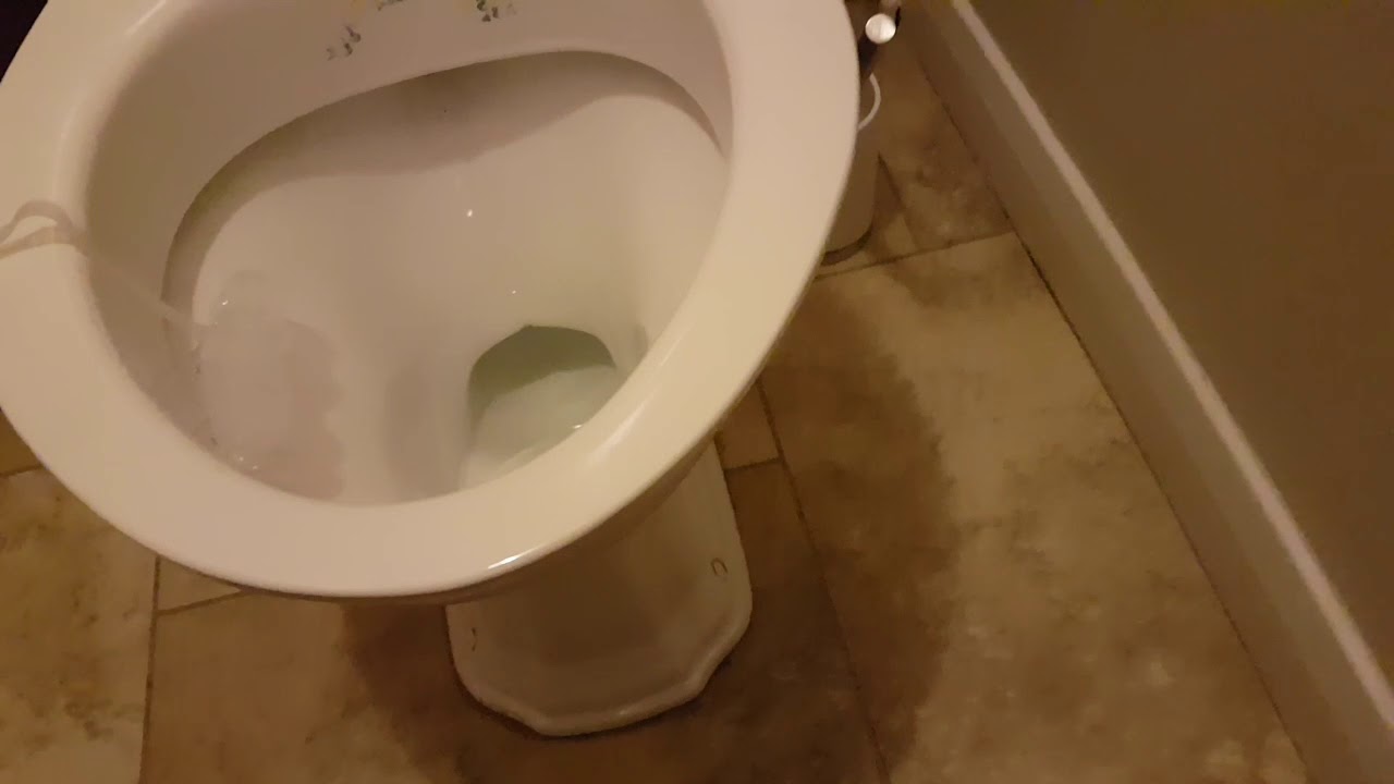 LL Imperial, Someone's Downstairs Toilet, Brampton Village YouTube