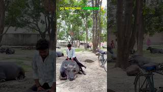 2G network problem 🤣 #funny #comedy #comedyshorts #viral