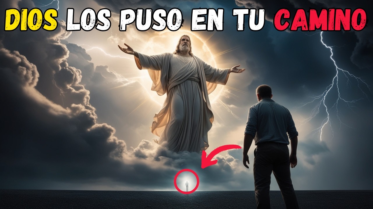 POR QUÉ LOS NARCISISTAS APARECEN EN LA VIDA DE LOS ELEGIDOS | psicología -  #narcisismo