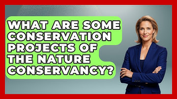 What Are Some Conservation Projects of The Nature Conservancy? - Central America Uncovered