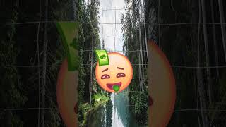IMG 5655