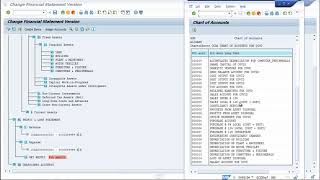 Financial Statement Version 04| SAP FICO
