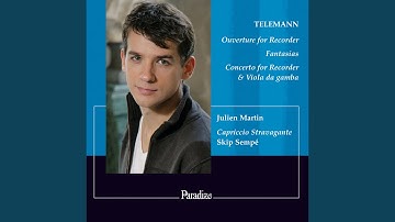 Ouverture for Recorder, Strings & Basso Continuo in A Minor: V. Réjouissance