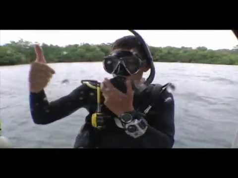 Diving at La Buga Dive & Surf, Bocas del Toro Panama