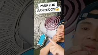 Así Puedes Regar Más El Autan En Tu Habitación