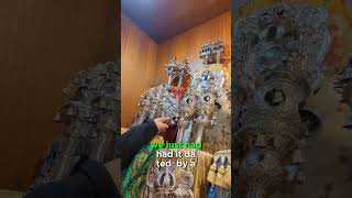 How old are these Torah scrolls?