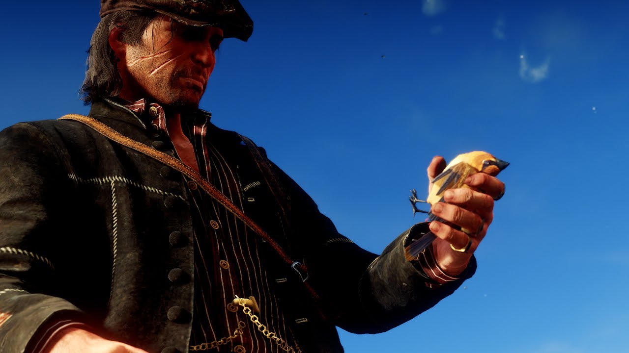 Hunting all types of 3 star animals #20 - Cedar Waxwing