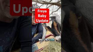 Freya baby update