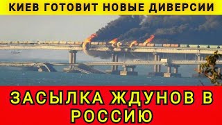 В РОССИИ ОЖИВИЛИСЬ ЖДУНЫ❗