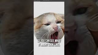 A.I. Generates INSANE Viral Video Idea 🤯