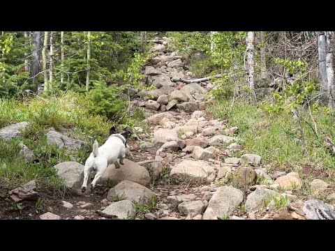 Hike: Swift Creek Trail to Lake of the Clouds Trail Loop Westcliffe, Colorado May 26, 2026