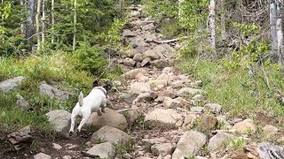 Hike: Swift Creek Trail to Lake of the Clouds Trail Loop Westcliffe, Colorado May 26, 2026