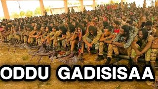 OMN:ODDU AMME - Nama gaddisisa Chanali Guddichi Hack Tahe || NEW WINE BC2 || Moha Oromo