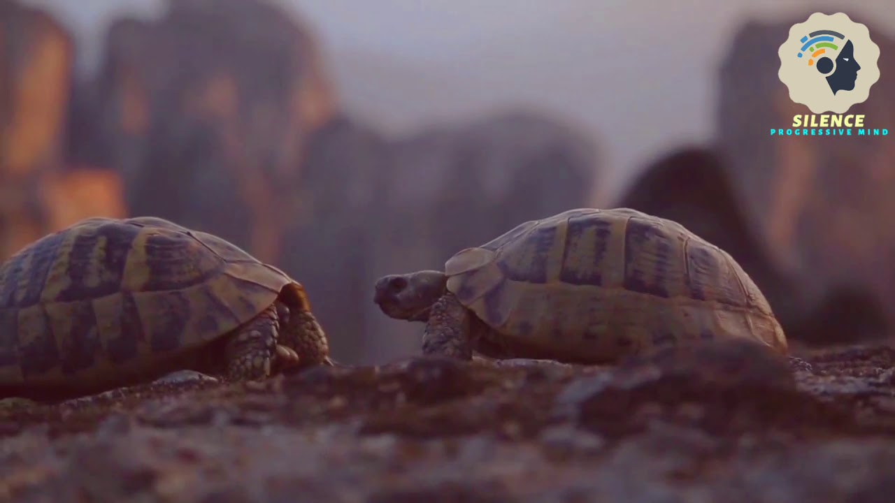 2021.....Mission World ,,, Natural Discover