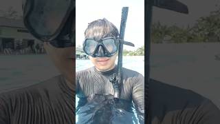 Belajar Scuba Diving Bersama PSS #swimming #scuba #diving #swim
