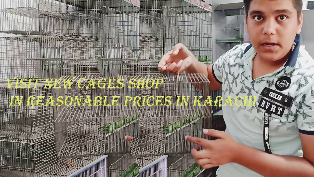 New Cages Shop Visit New Cage Shop in karachi Birds Cage Price