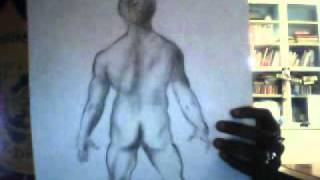 Phil Collins (monotypes)  Drawing of "David's" back