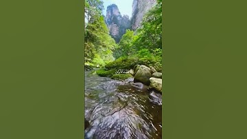 ولا يحيق المكر السيئ إلا بأهله||تلاوة خاشعة //بصوت القارئ صالح اليافعي⏱️ثواني عظيمة🎧🤍🌿