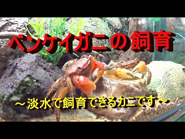やっと慣れてくれました 松山市 アロマサロンイヴピアジェ