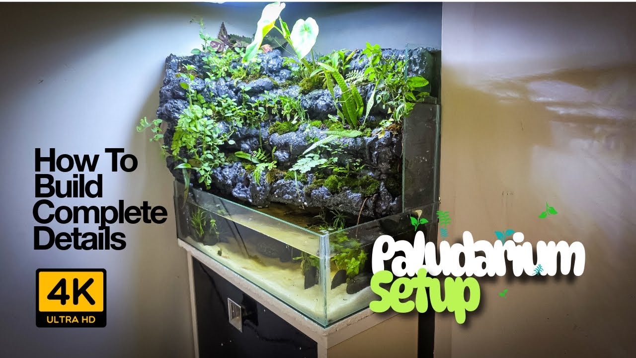 How to make Lush Paludarium | Vertical Garden & Aquatic Life in One!