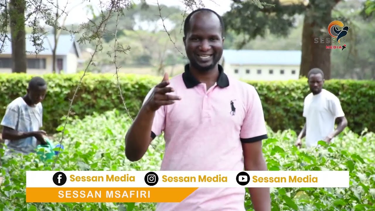 KILIMO CHA MNAFU | MNAVU TIBA ZA MAGONJWA - Part I