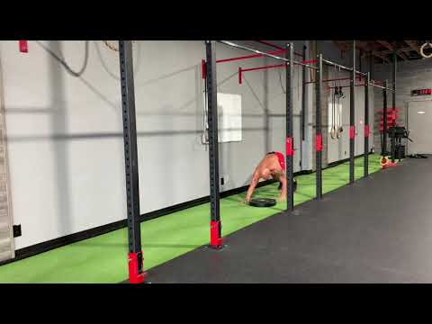 Bear crawl plate push