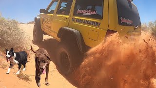 Two for Friday! (Tundra at the lake, RZR shenanigans)