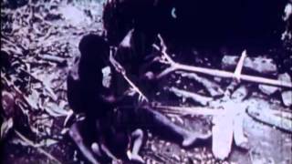 Pygmies, 1970S - Film 30868