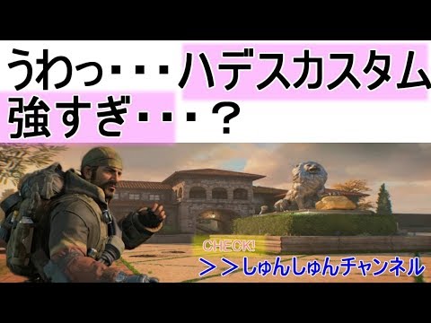 #17【Black Ops 4】えっ！？カスタムハデス強すぎ！？