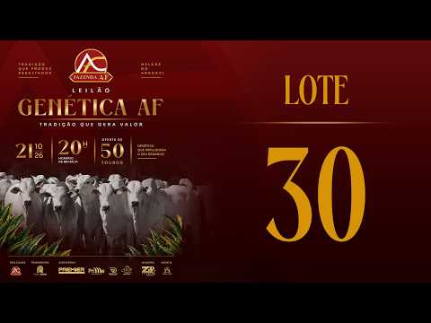 LOTE 30 ARFS  188