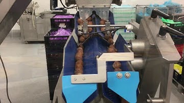 Dieter Althaus Linear Weighing and Counting Systems for Efficient Food Processing