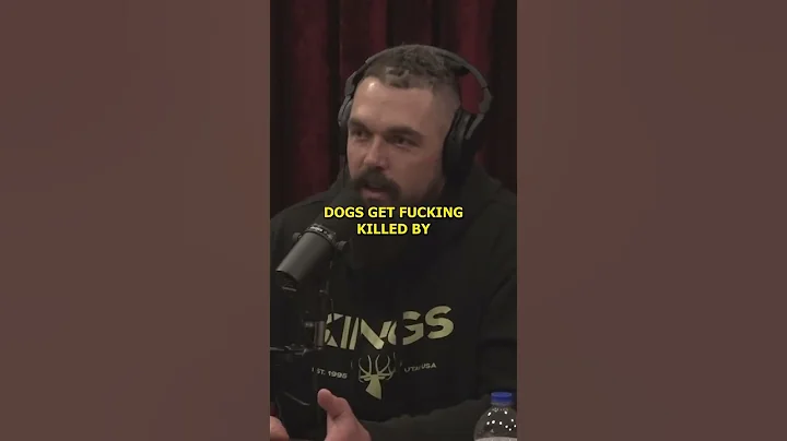 Derek Wolfe Shares Story of Encounter with One of the Largest Mountain Lions   Joe Rogan