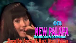 Doi - Novi Andarista - New Pallapa